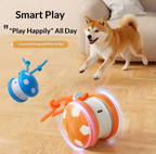 Interactive Dog Ball Toy