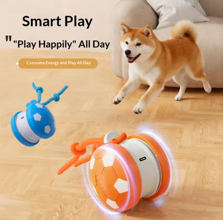 Interactive Dog Ball Toy