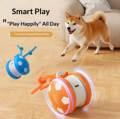 Interactive Dog Ball Toy