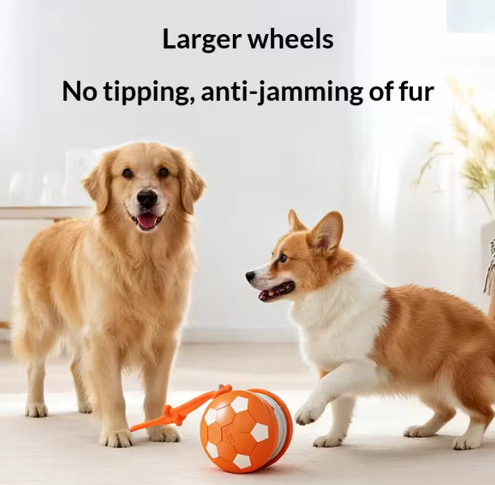 Interactive Dog Ball Toy
